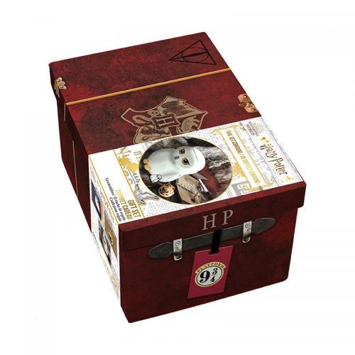 Caja Premium Regalo Harry Potter