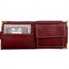 Cartera Premium Harry Potter Hogwarts Dorado