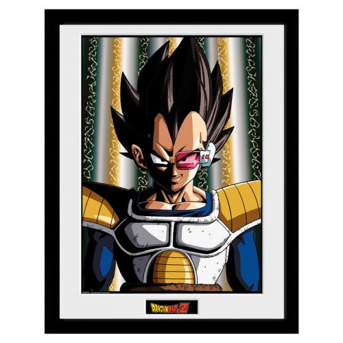 Cuadro Dragon Ball Vegeta