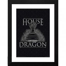 Cuadro House of Dragon