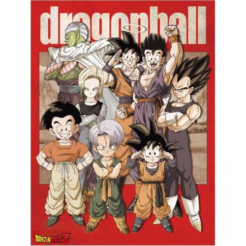 Cuadro Dragon Ball Grupo