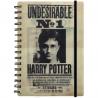 Libreta Cuaderno 3D Harry Potter Harry & Sirius