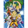 Póster Dragon Ball Z Cell Saga