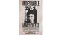 Póster Harry Potter Indeseable nº1