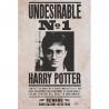 Póster Harry Potter Indeseable nº1