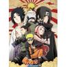 Póster Naruto Shippuden Grupo 2