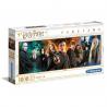 Puzzle Harry Potter Panorama 1000 Piezas