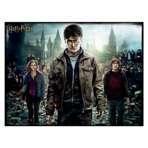 Puzzle Lenticular 3D Harry Potter, Hermione y Ron 500 piezas