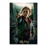 Puzzle Lenticular 3D Harry Potter Hermione Batalla 300 Piezas