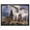 Puzzle Lenticular 3D Harry Potter Hogwarts & Hedwig 500 piezas